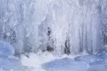 Glace01